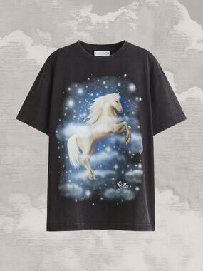 STELLA MCCARTNEY x H&M Oversized Printed T-Shirt Unicorn Logo Black Tee NWT xs